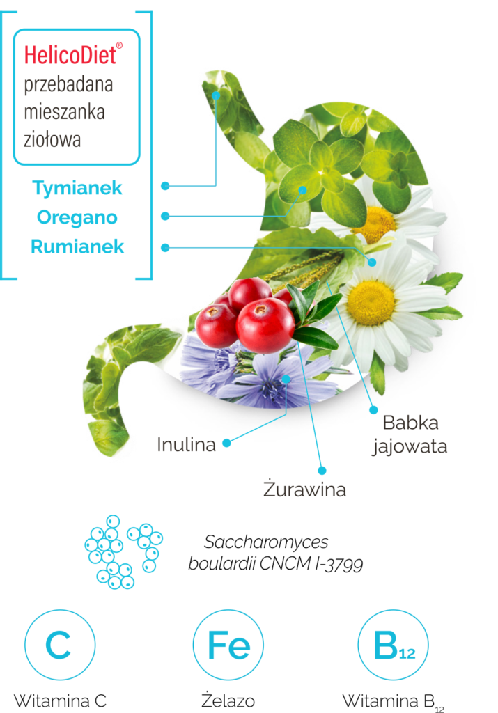 składniki helicofood
